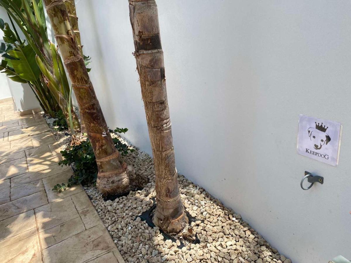 Villa Diana - 200 Meters From Kapparis, Fireman'S Beach Paralimni Ngoại thất bức ảnh